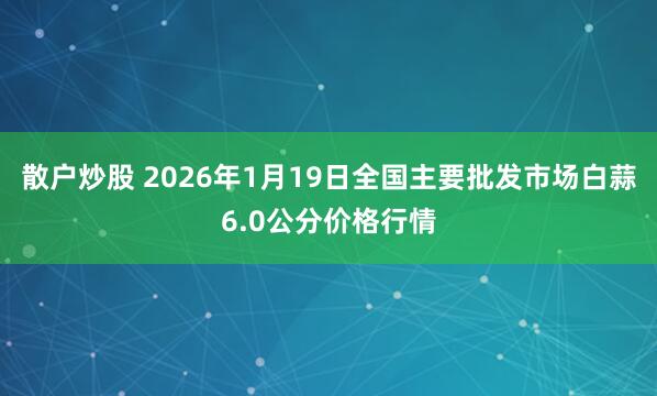 散户炒股 2026年1月19日全国主要批发市场白蒜6.0公分价格行情