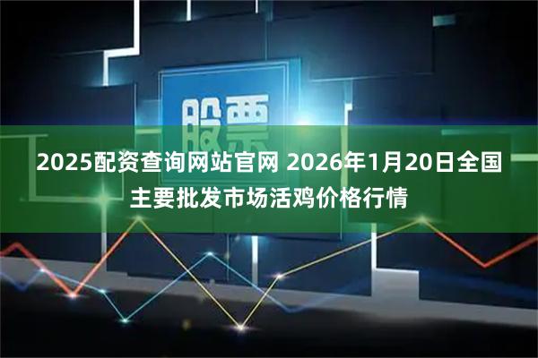 2025配资查询网站官网 2026年1月20日全国主要批发市场活鸡价格行情