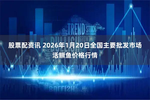 股票配资讯 2026年1月20日全国主要批发市场活鳜鱼价格行情