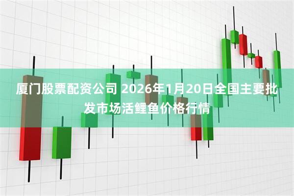厦门股票配资公司 2026年1月20日全国主要批发市场活鲤鱼价格行情